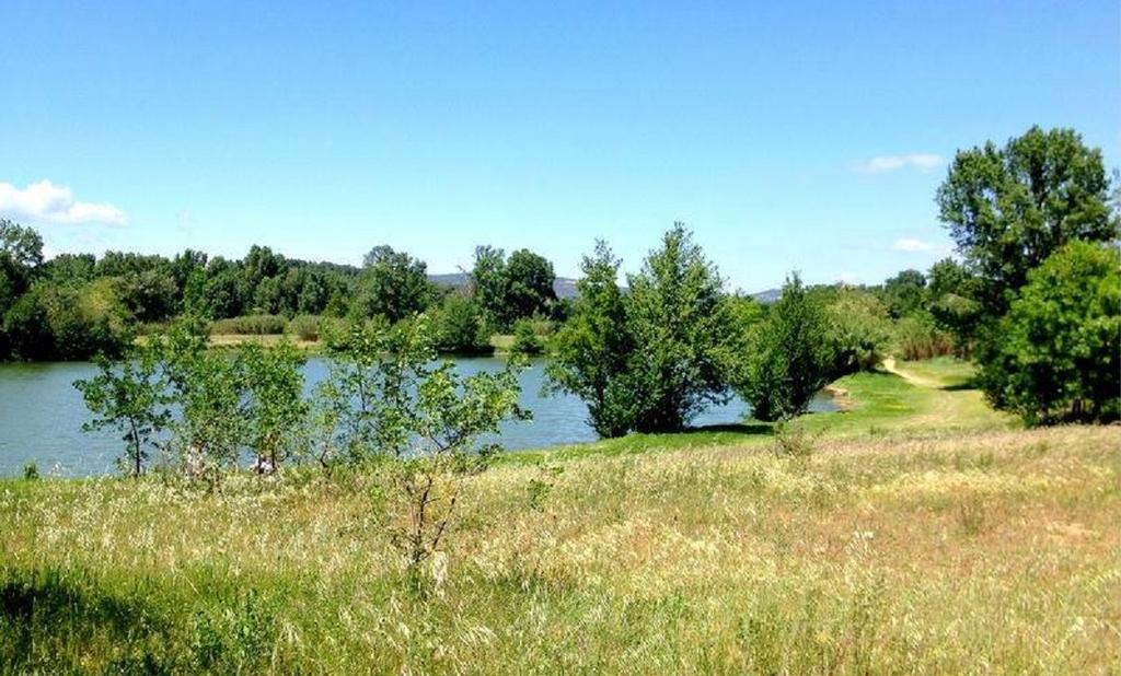 Camping Le Fief D'Anduze Exterior foto